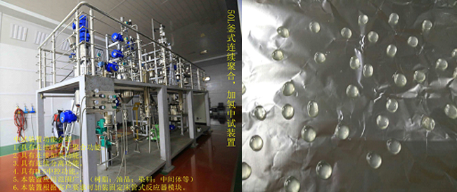 祝賀國內(nèi)首套釜式連續(xù)加氫中試成套裝置一次出料成功！.jpg